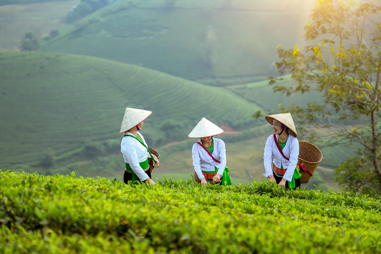 VIETNAM